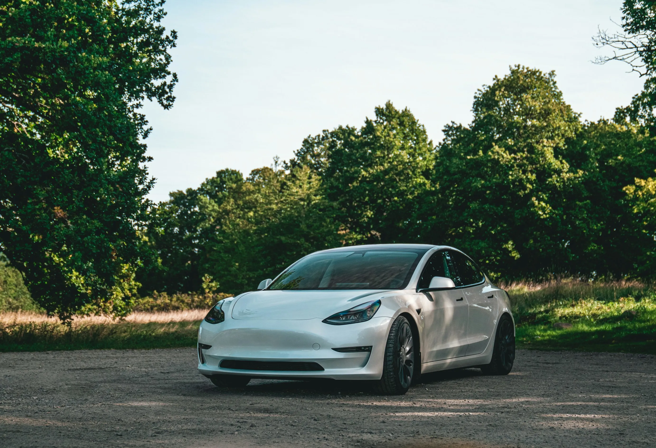 Why It Matters Background